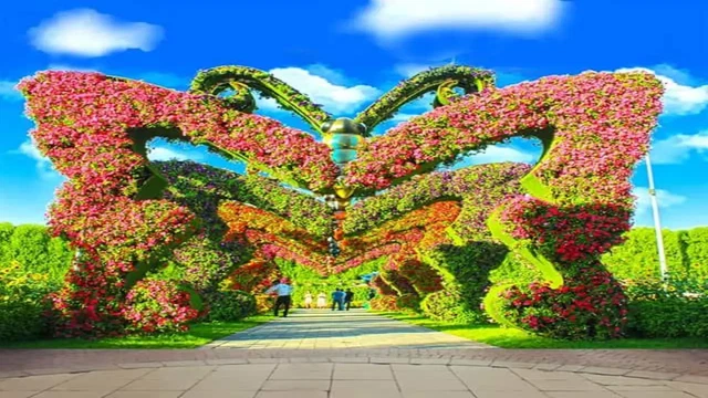 Dubai Butterfly Garden