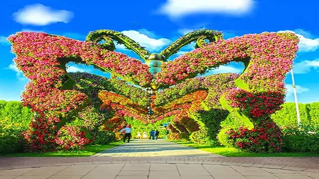 Дубайский сад бабочек