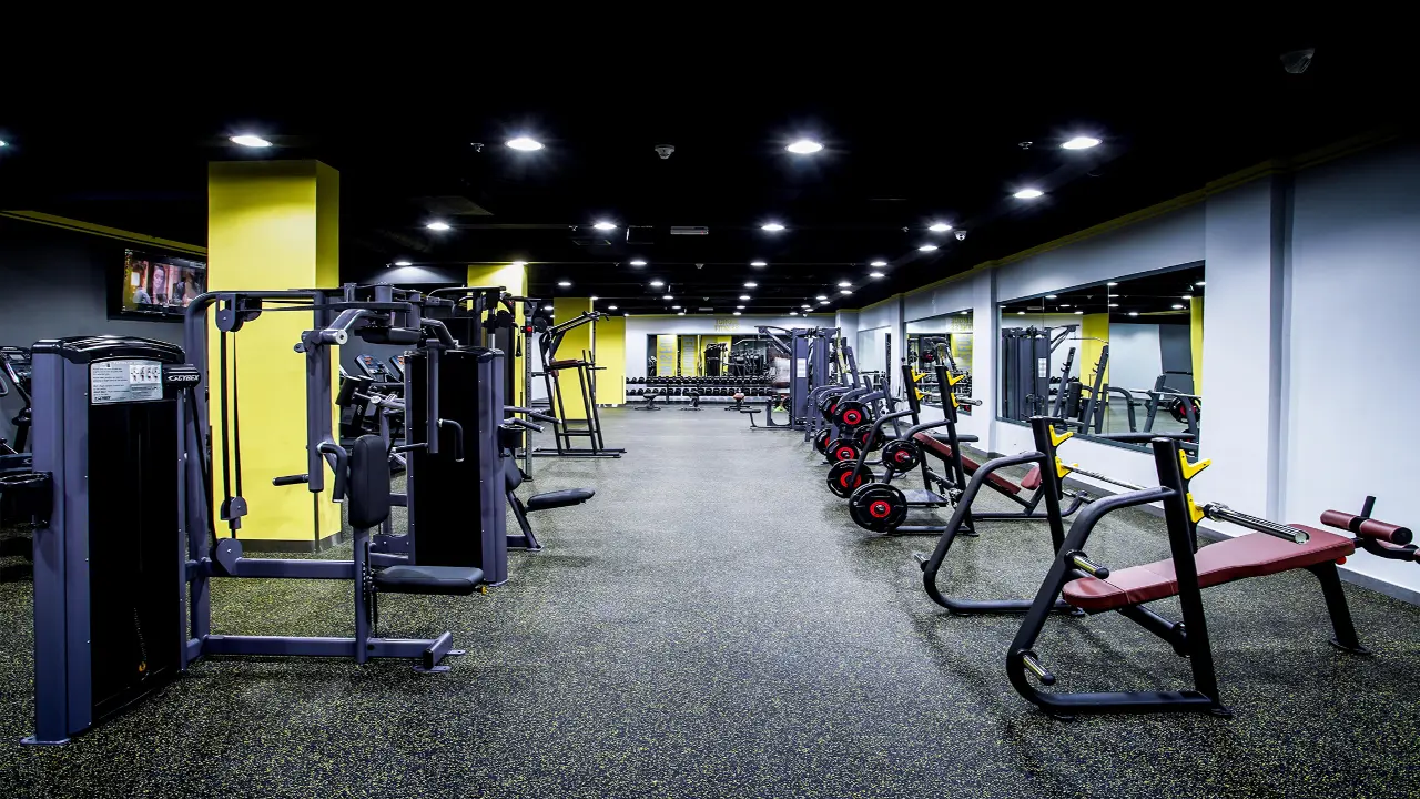 صالات رياضية في مجمع دبي للاستثمار