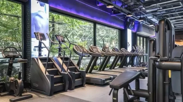 Gyms In The Meadows