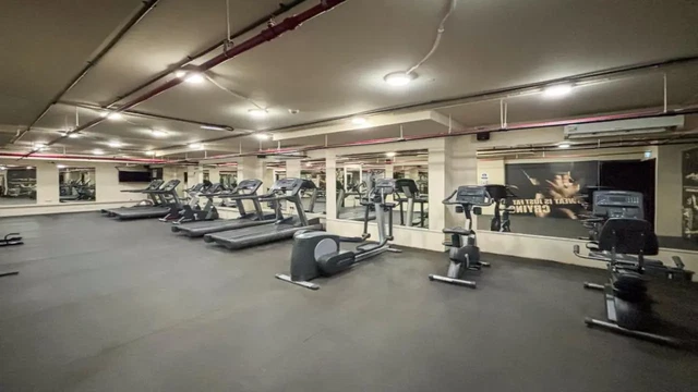 Gyms Near Bay Square