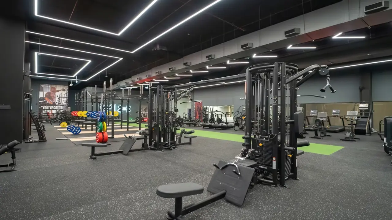 Gyms and Wellness Center In Jebel Ali 