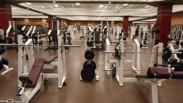 Gyms around the Damac Lagoons
