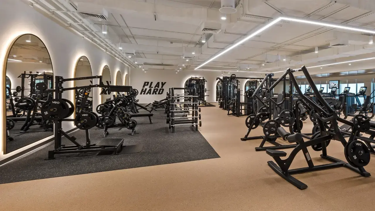 Gyms in City of Arabia 