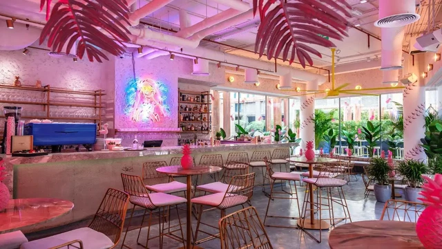 Restaurants and Cafés in Wasl Gate
