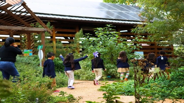 Schools in Discovery Gardens