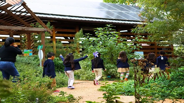 Schools in Discovery Gardens