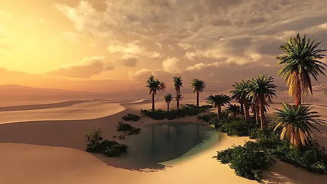 The Desert Oasis