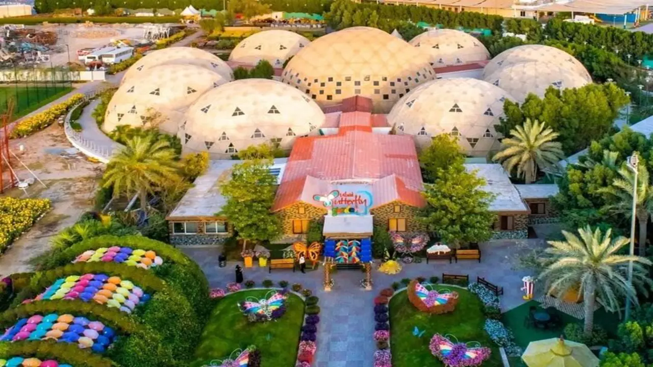 The Enchanting Butterfly Domes 