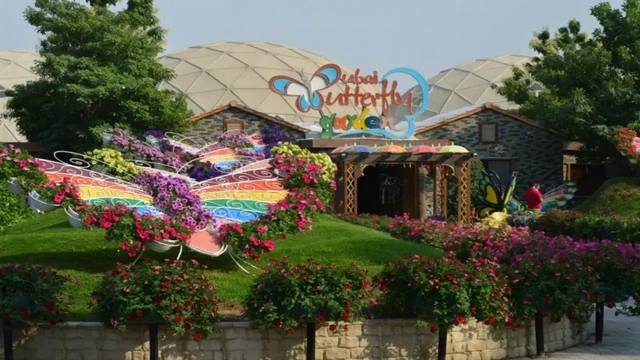 Things to Do in Dubai Science Park