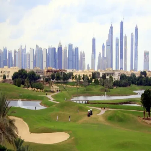 Emirates Hills area
