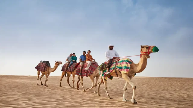 Заповедник пустыни Аль-Мармум