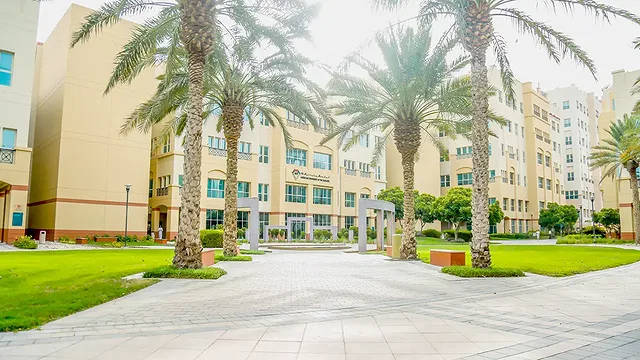 American University in the Emirates