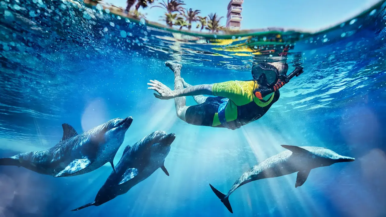 Dolphin Bay Atlantis