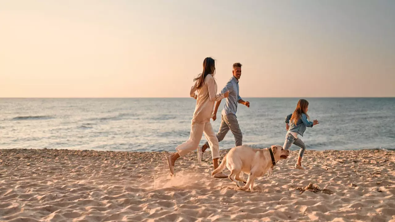 شاطئ جزر دبي