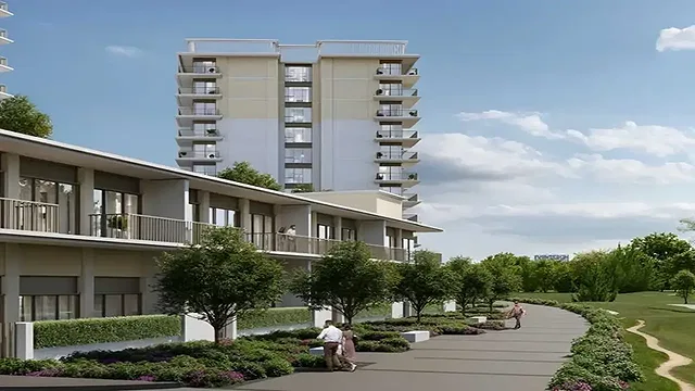 Golf Verge