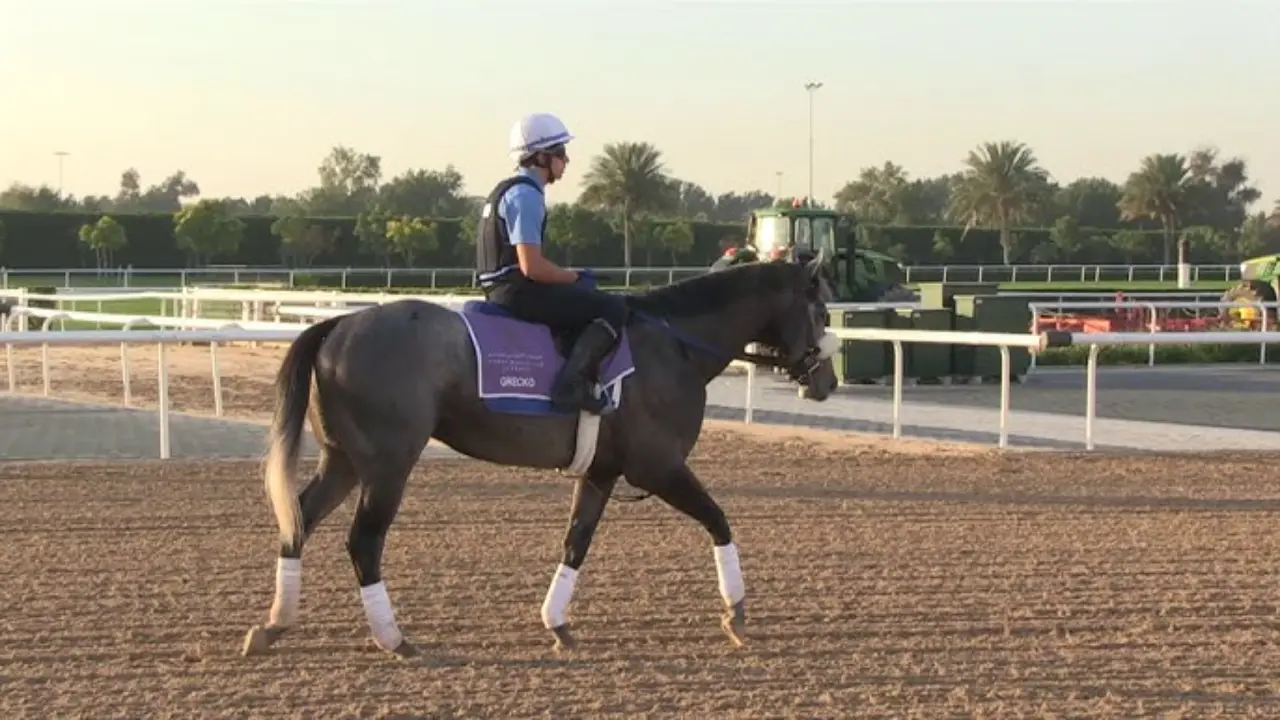 Верховая езда 