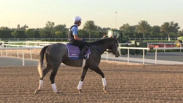 ركوب الخيل