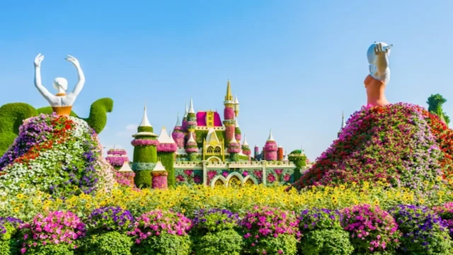 حديقة المعجزات