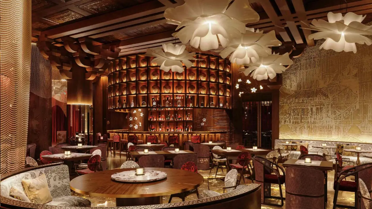 مولي باي شي