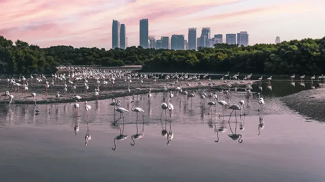 Ras Al Khor Wildlife Sanctuary