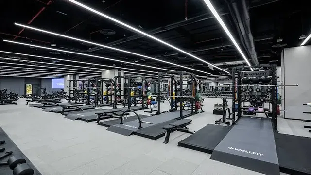 Wellfit, JVC
