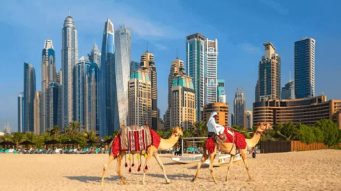 Things to Do in Dubai