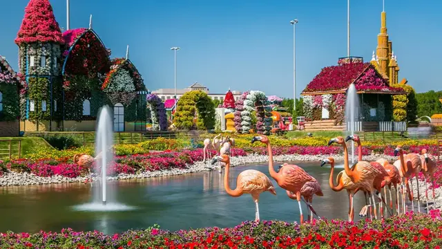 Activity to Do in Al Barsha