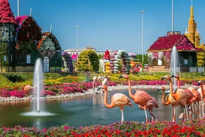 Activity to Do in Al Barsha