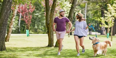 сообщества в дубае, дружелюбные к домашним животным