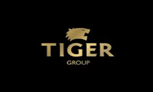 Tiger Group developer logo