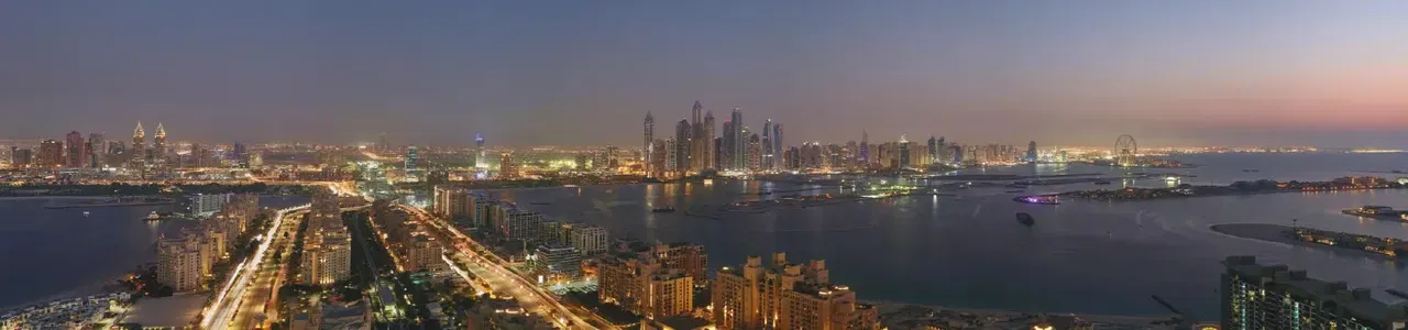 برج النخلة من نخيل معرض 1