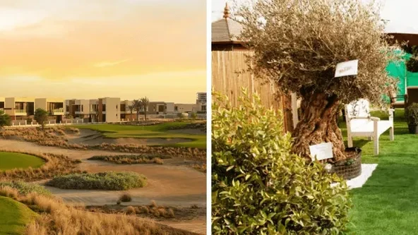 Greenwoods Villas By Damac gallery 5