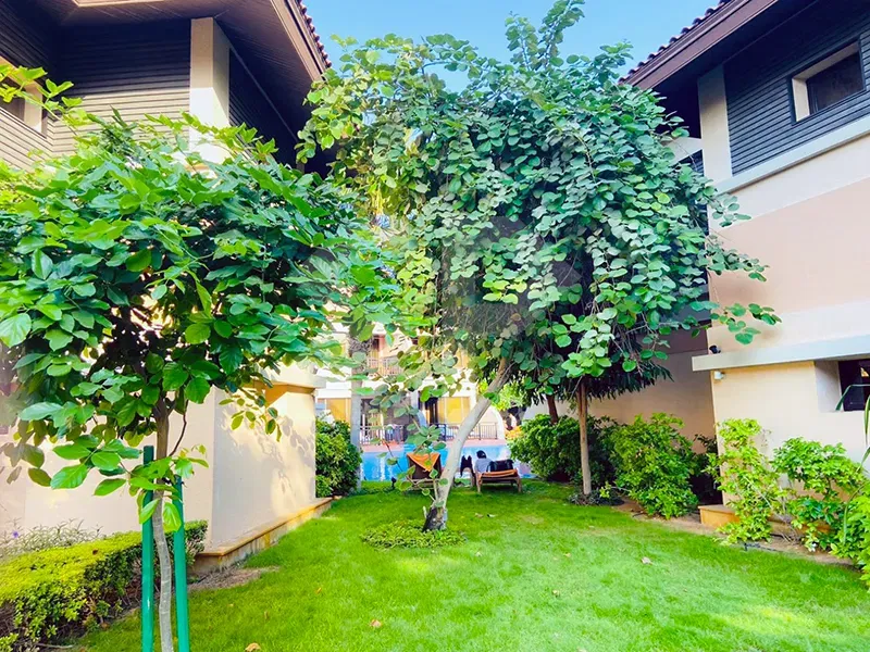 Апартаменты-студия с видом на море в Anantara Residences North, The Palm галерея 12