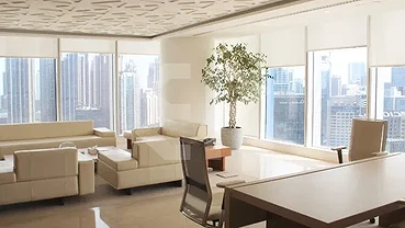 Shell & Core Office
