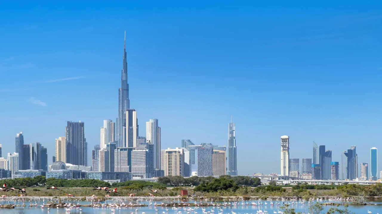 ملعب كوندور للغولف 18 معرض 11