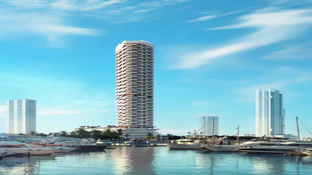 داماك كورال ريف معرض 12