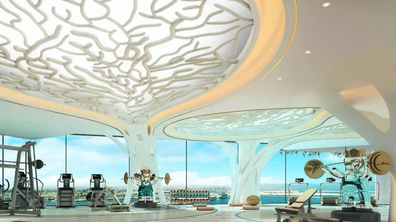 داماك كورال ريف معرض 2