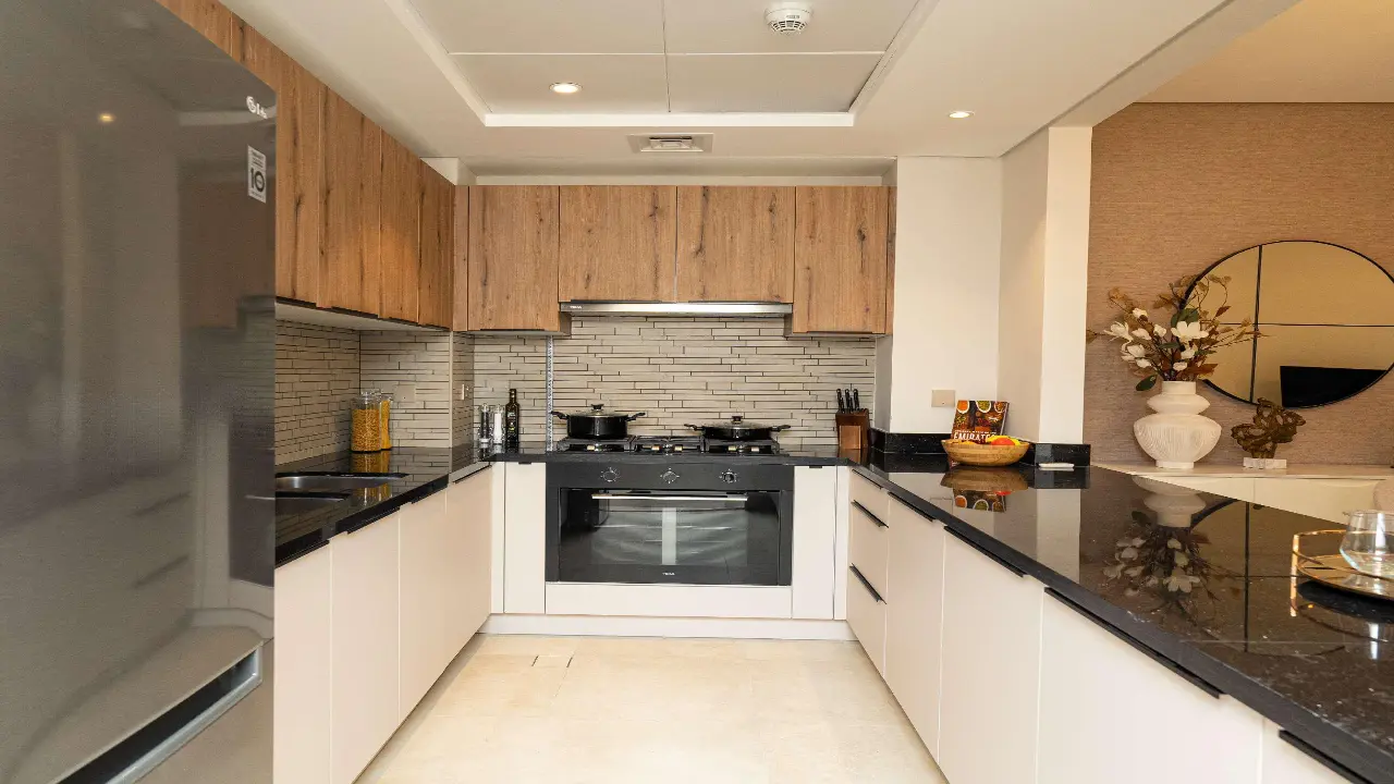 دانوب إليجانز معرض 8