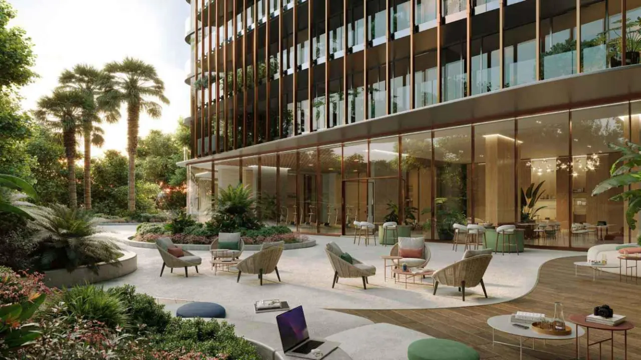 كانيون من بيوند معرض 5