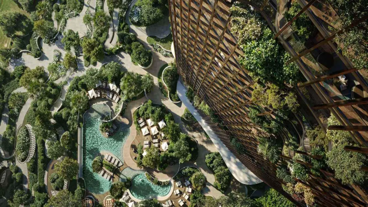 كانيون من بيوند معرض 13