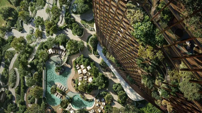 كانيون من بيوند معرض 13