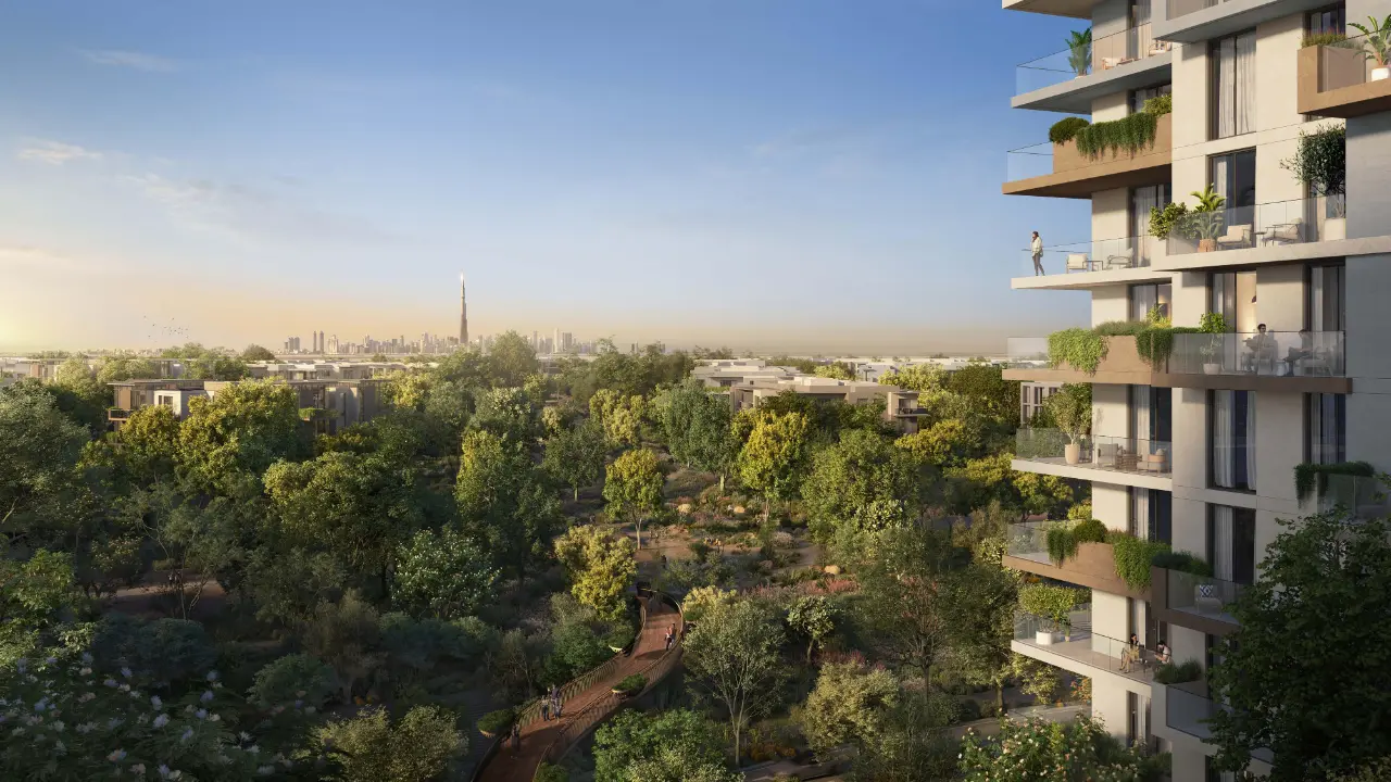 لاسينا في غابة الغاف المرحلة الثانية معرض 1