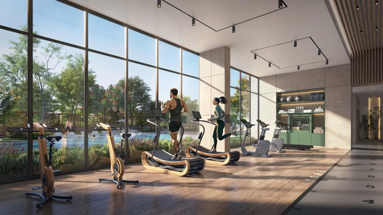 لاسينا في غابة الغاف المرحلة الثانية معرض 7