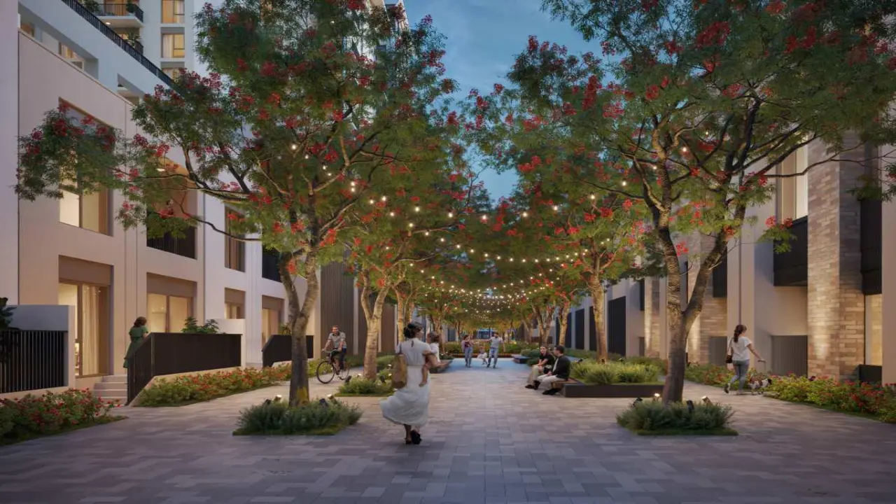 Ольбия у Ншамы галерея 7