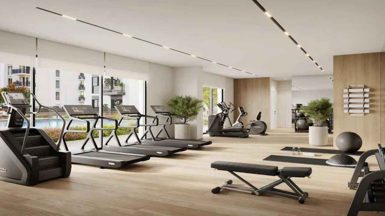 Ольбия у Ншамы галерея 4