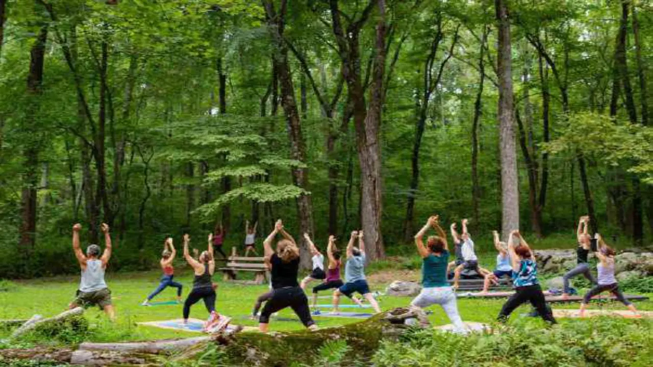 فلل سوبها ريزيرف معرض 11