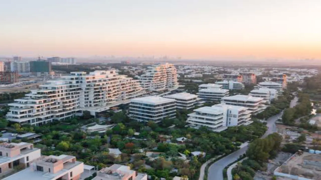 ذا لوفتس البراري معرض 10