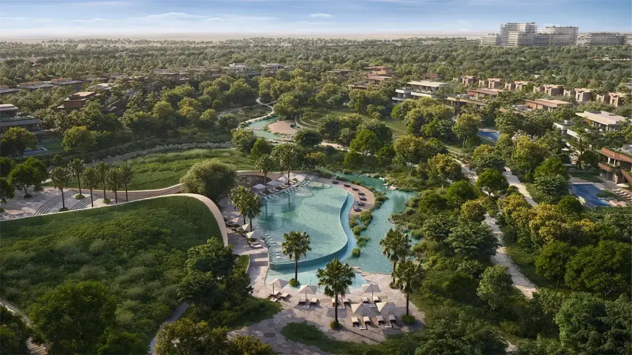 قصور مورينجا البرية من ألدار معرض 1