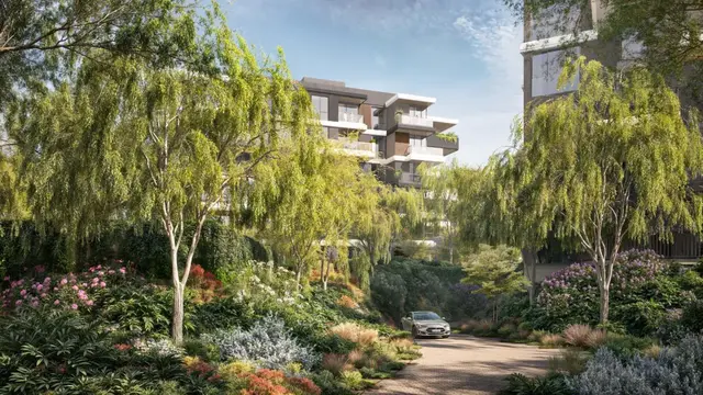 ازدهار غابات الغاف